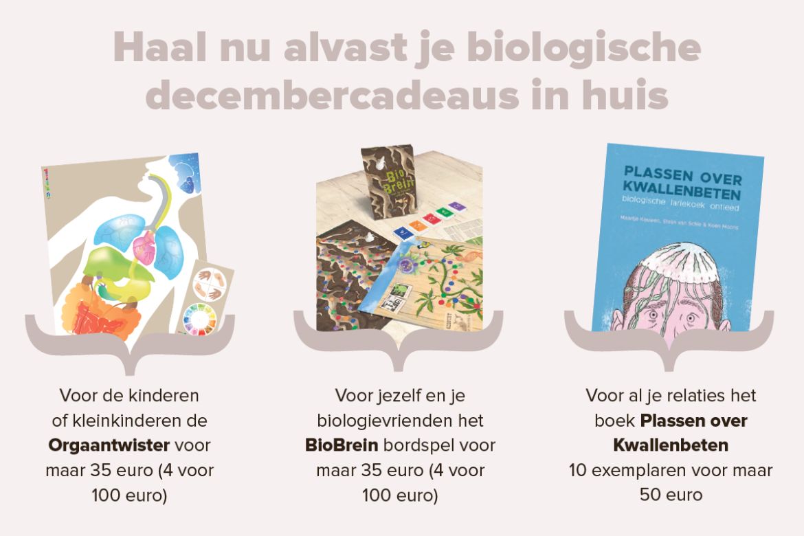 Biologische decembercadeaus Biologische decembercadeaus